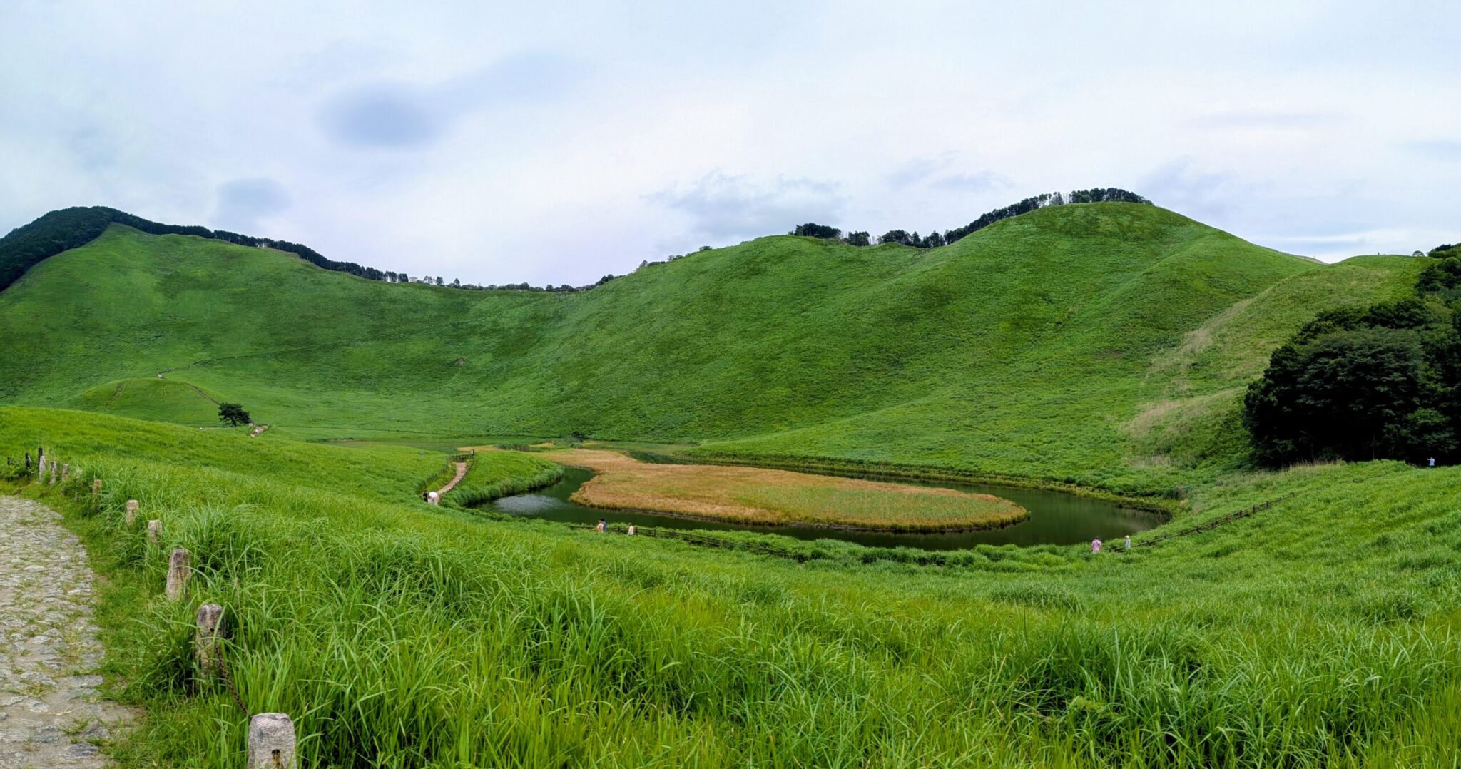 夏の緑豊かな曽爾高原