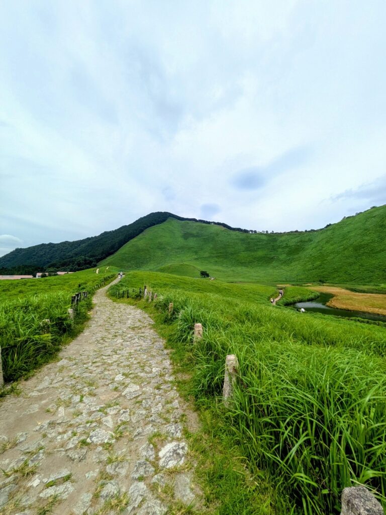 夏の緑豊かな曽爾高原と遊歩道