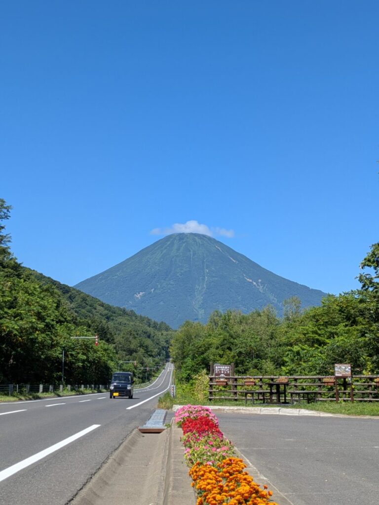 北海道のドライブコースと綺麗な花壇